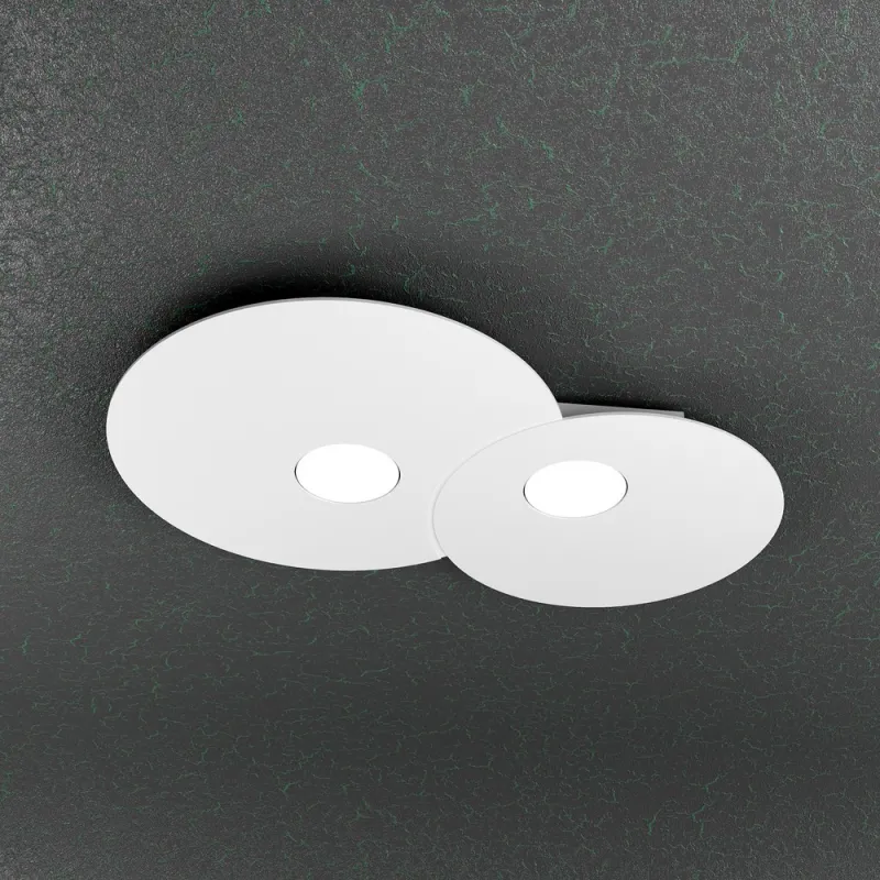 Modern ceiling light 2 lights tpl design 1128-pl2r